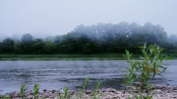 Ομίχλη σε ένα ποτάμι το πρωί το καλοκαίρι — Αρχείο Βίντεο