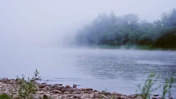 Mlha na řece v letní ráno — Stock video