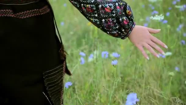 Barefoot Girl Running on Green Field — Stock Video