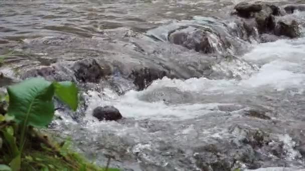 Медленный водопад крупным планом через большие скалы — стоковое видео