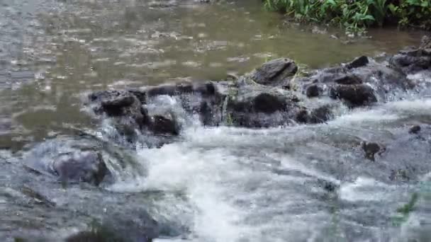 Cascada montaña cerca de las rocas de agua en verano — Vídeo de stock