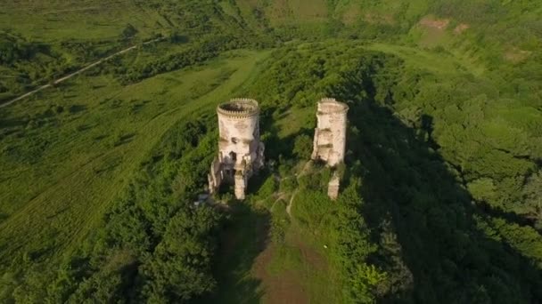 Antenna Nézd a régi kastély, a két torony és az erdő körül — Stock videók