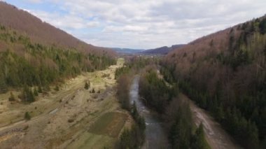 Havadan görünümü. Güzel dağ nehir ve orman üzerinde uçan