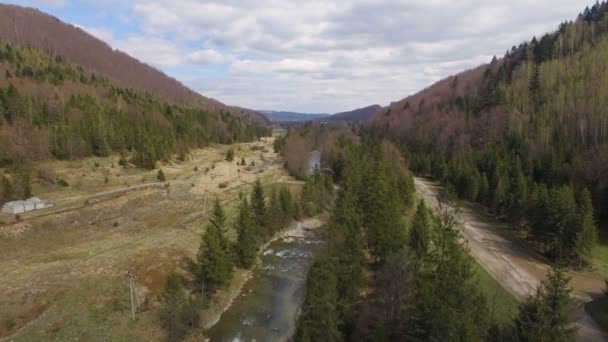 Vue Aérienne. Survoler la belle rivière de montagne et la forêt 