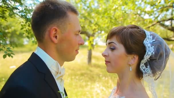 Gelukkig is bruid en bruidegom mooi meisje knuffelen en zoenen in het bos — Stockvideo