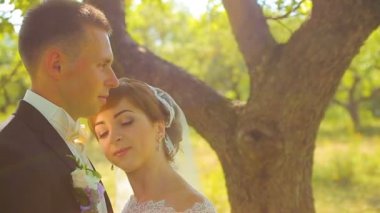 Güzel sarılma ve öpüşme ormanda kız mutlu gelin ve damat