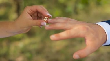 Gelin ve damat nikah yüzükleri yeşil doğa arka plan üzerinde alışverişi closeup