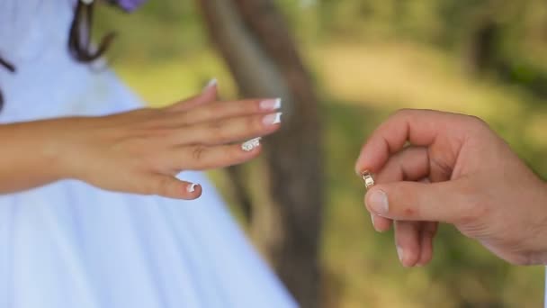 Nahaufnahme von Braut und Bräutigam, die Eheringe über grünem Naturhintergrund austauschen — Stockvideo