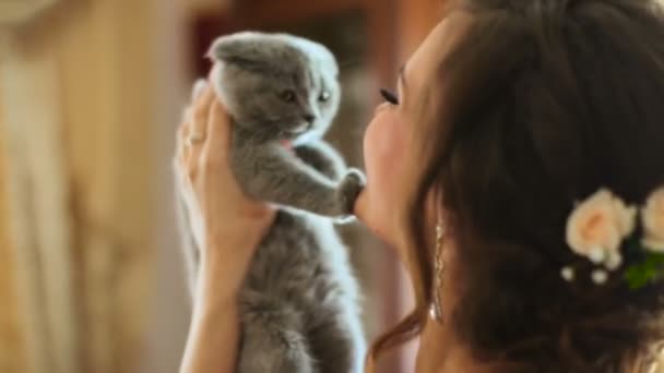 Молодая красивая женщина пытается поцеловать шотландский складной кот, но он против этого — стоковое видео