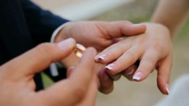 Detailní záběr na nevěstu a ženicha výměnu snubní prsteny zelené přírody pozadí — Stock video