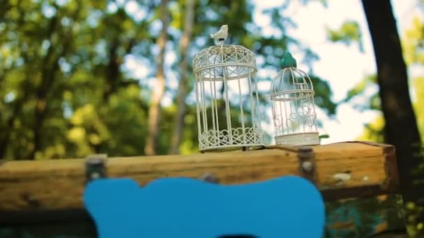 Decoración diferente de la boda, paja. Ceremonia de boda al aire libre, enfoque, primer plano . — Vídeos de Stock