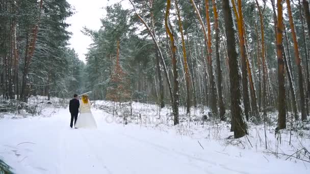 Jong koppel wandelen in winter woud hand in hand en omarmen in slow motion — Stockvideo