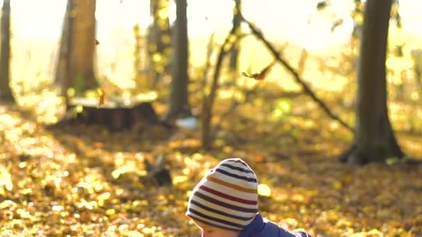 Feliz niño jugando con hojas de otoño lanzando hojas en cámara lenta — Vídeos de Stock