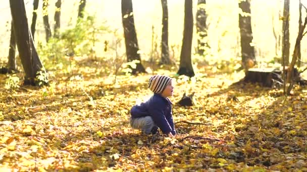 Happy little boy playing with autumn leaves throwing leaves in slow motion — Stock Video