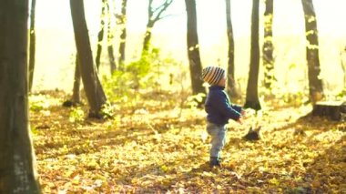 Ormandaki yaprakları atma mutlu küçük çocuk ile Sonbahar oynamak yaprakları