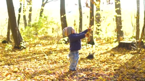 Felice bambino che gioca con foglie autunnali lanciando foglie al rallentatore — Video Stock