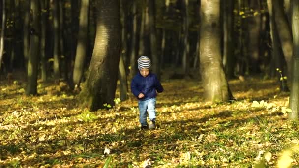 Милый маленький мальчик бежит по осенней аллее в парке. Медленное движение — стоковое видео