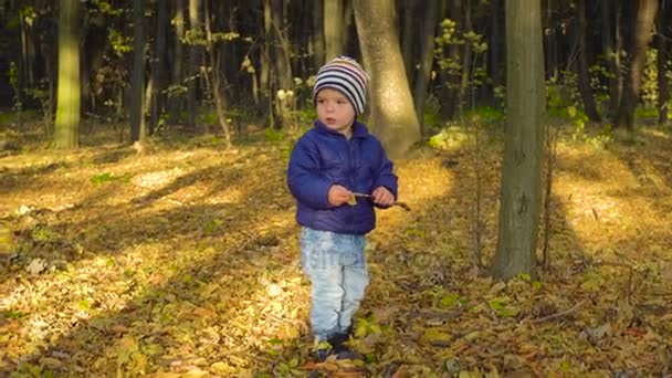 Anak laki-laki kecil tersenyum bermain di taman. Musim gugur. maple kuning daun 4k — Stok Video