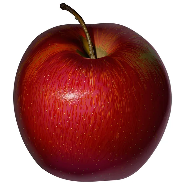 Boş bir arka plan üzerinde gerçekçi Kırmızı elma — Stok Vektör