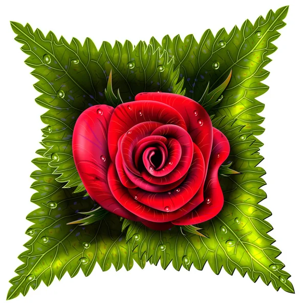 Rosa vermelha com folhas e gotas —  Vetores de Stock