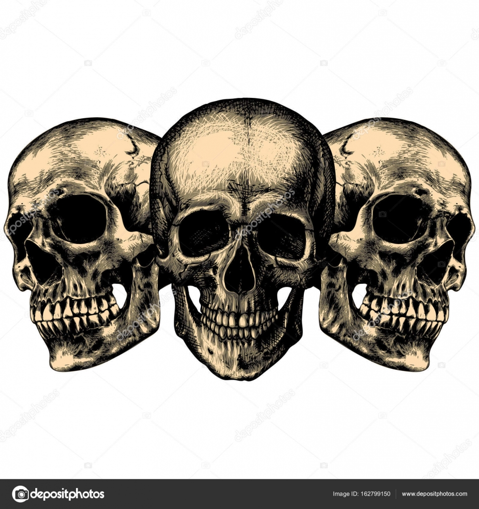 ポートフォリオ Andrcat ストック写真 イラストとベクターアート Depositphotos