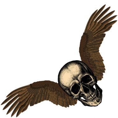 Kartal kanatlı insan kafatası