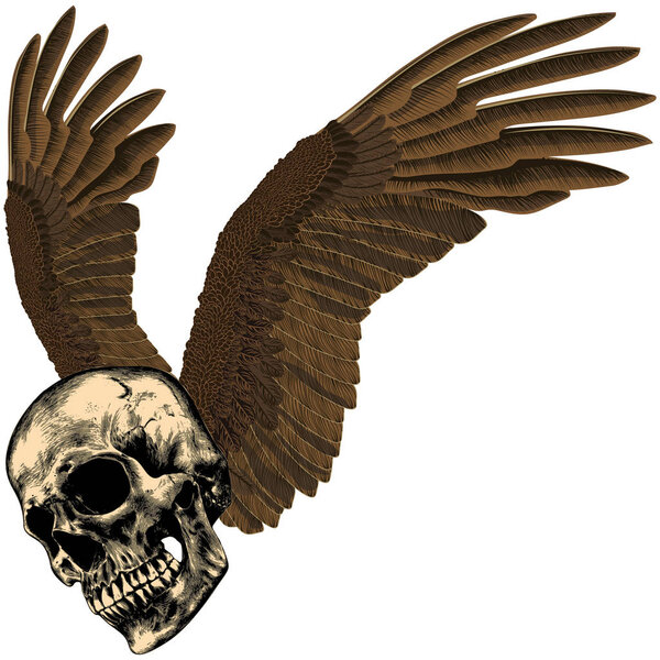 Human skull with eagle's wings