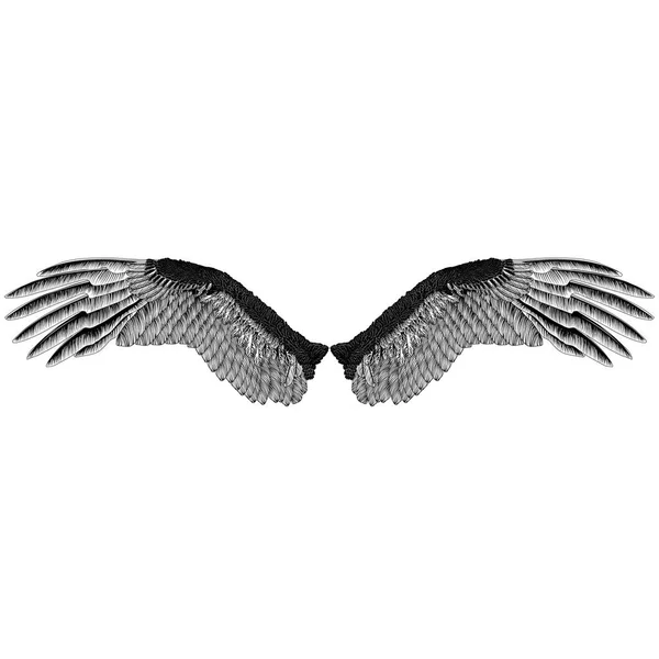 鹰的翅膀单色图案 — 图库矢量图片