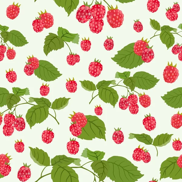 Seamless pattern with juicy raspberry. Vector illustration. — Stock Vector