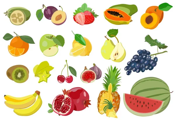 Conjunto de frutas jugosas de colores sobre fondo blanco. Ilustración vectorial . — Vector de stock
