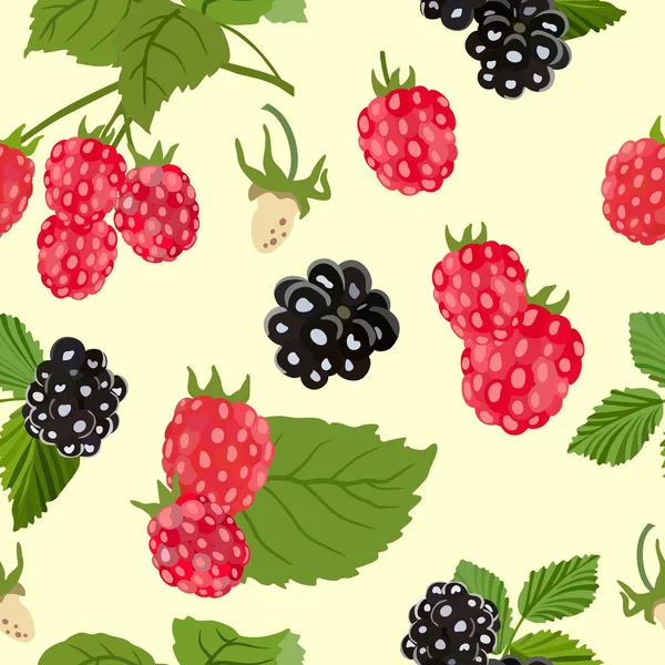 Seamless pattern with ripe raspberries and blackberries. Vector illustration. — Stock Vector