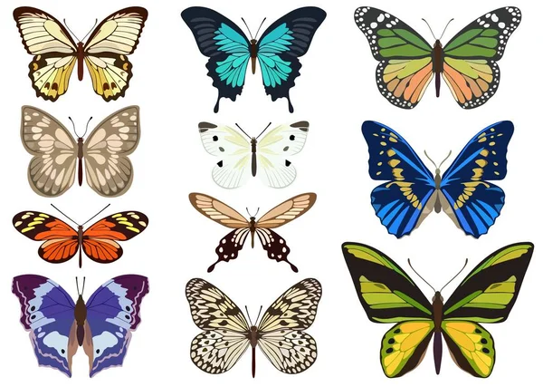 Conjunto de mariposas de colores sobre fondo blanco. Ilustración vectorial . — Archivo Imágenes Vectoriales