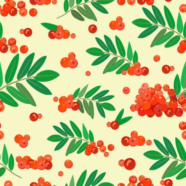 Sulu rowan ile Seamless Modeli demetleri. Vektör çizim.