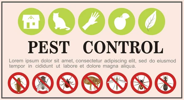 Iconos planos de insectos de control de plagas en la pancarta. Ilustración vectorial . — Vector de stock