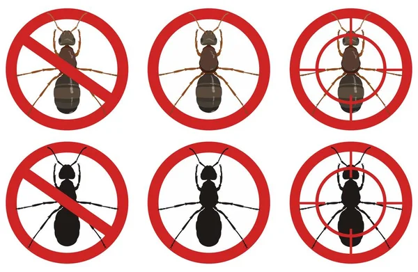 Σταματήστε μυρμήγκι σημάδια. Το σύνολο των σημείων ελέγχου των παρασίτων εντόμων. Διάνυσμα. — Διανυσματικό Αρχείο