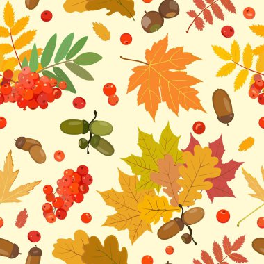 Şirin desen meşe palamutları, rowan, çok renkli yaprakları ile. Vektör çizim