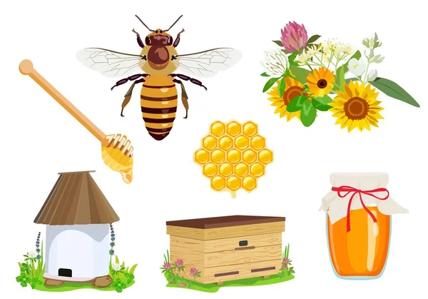 养蜂的设计和产品。亲爱的.有用的昆虫。矢量插图 — 图库矢量图片
