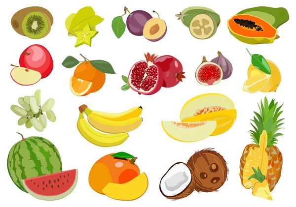 Conjunto de frutas exóticas e tropicais maduras multicoloridas. Ilustração vetorial . —  Vetores de Stock