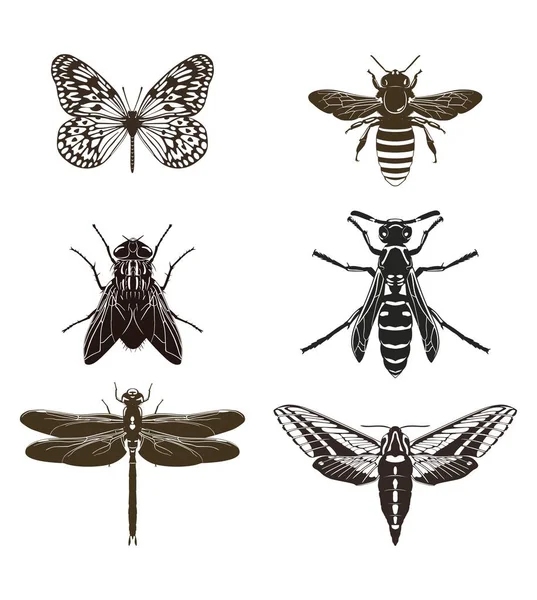 Conjunto de siluetas de insectos voladores. Ilustración vectorial . — Vector de stock