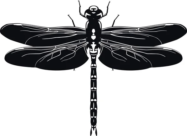 Silueta negra de libélula sobre fondo blanco. Ilustración vectorial — Vector de stock