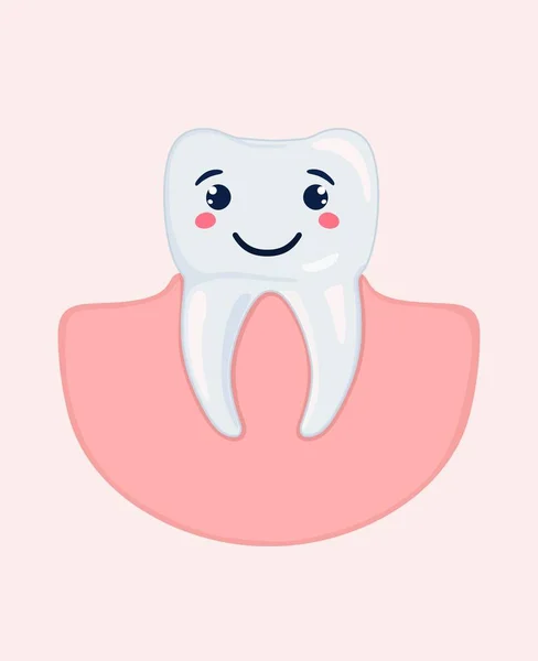 Healthy appearance of stylized molars. Vector illustration. — Stock Vector