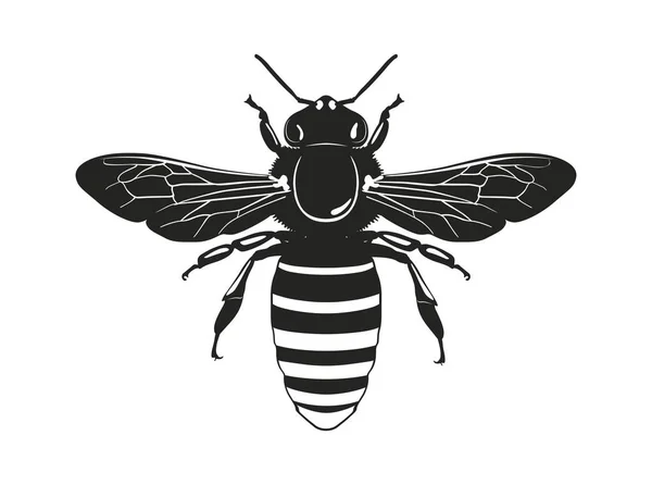 ベクター シルエット蜂は 白い背景で隔離 飛んでいる虫 — ストックベクタ