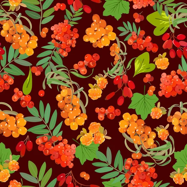 Pattern of sea-buckthorn, mountain ash, cloudberry, barberry. Vector illustration. — Stock Vector