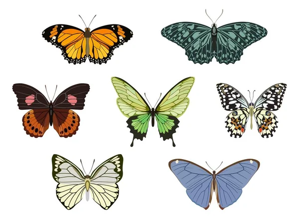 Colección de mariposas de colores sobre fondo blanco. Ilustración vectorial . — Archivo Imágenes Vectoriales