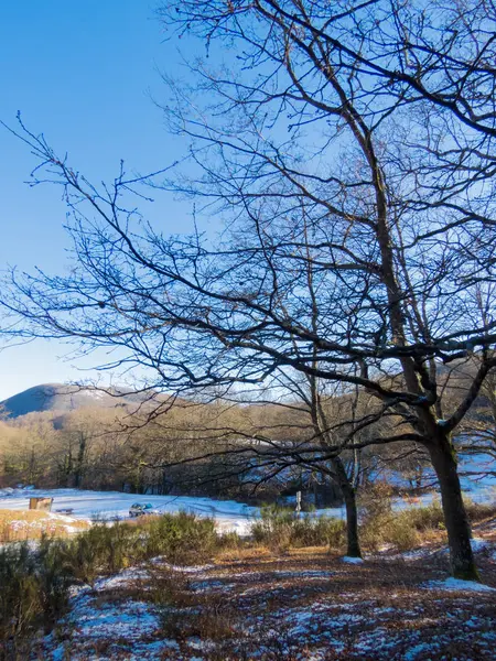 Primera nevada en Fontecerro Rieti Italia — Foto de Stock