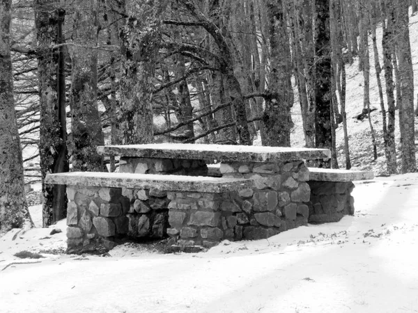 Första snöfall i Fontecerro Rieti Italien — Stockfoto