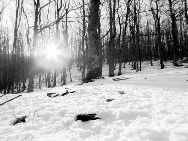 Eerste sneeuwval in Fontecerro Rieti, Italië — Stockfoto