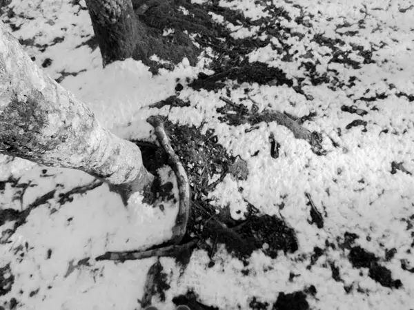 Första snöfall i Fontecerro Rieti Italien — Stockfoto