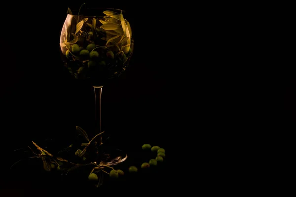 Натуральность в простоте оливкового масла и его масла — стоковое фото