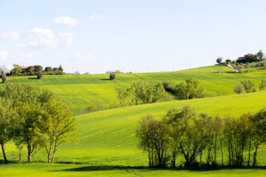 Yeşil tepelerin yumuşak Umbre çizgilerle sallanan